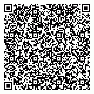 vCard 79033780340
