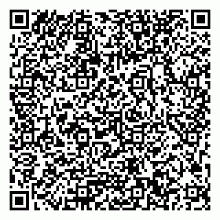 vCard 79033780341
