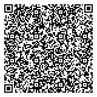 vCard 79033780343