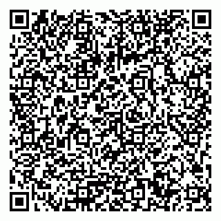 vCard 79033780348