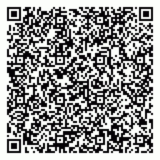 vCard 79033780349