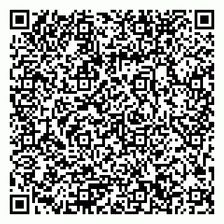vCard 79033780351