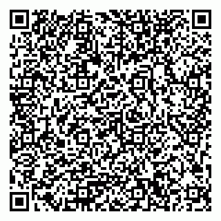 vCard 79033780353