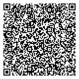 vCard 79033780354