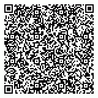 vCard 79033780355