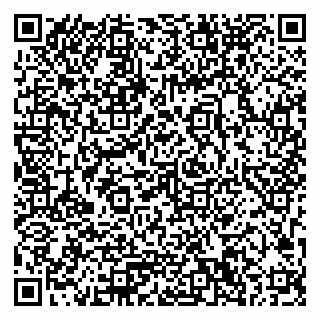 vCard 79033780357