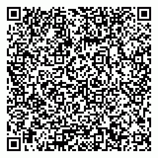 vCard 79033780359