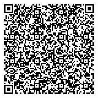 vCard 79033780360