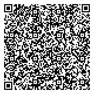 vCard 79033780369