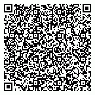 vCard 79033780370