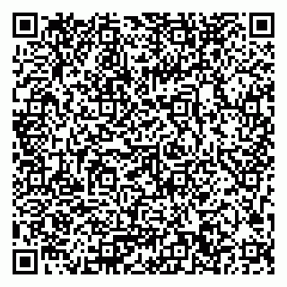 vCard 79033780371