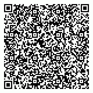 vCard 79033780373