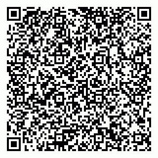 vCard 79033780374