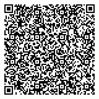 vCard 79033780375