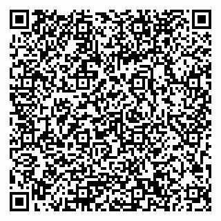 vCard 79033780376