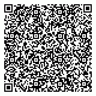 vCard 79033780377