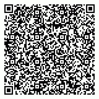 vCard 79033780378