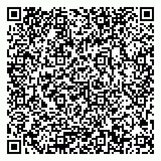 vCard 79033780379