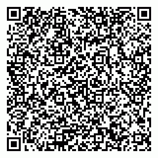 vCard 79033780380
