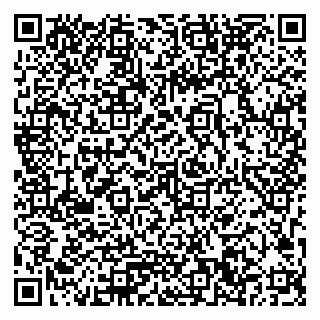 vCard 79033780381