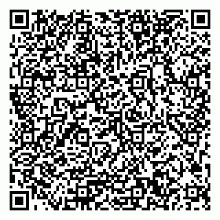 vCard 79033780382