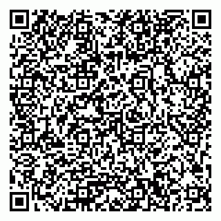 vCard 79033780383