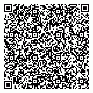 vCard 79033780386