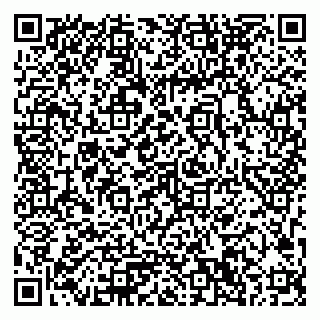 vCard 79033780387