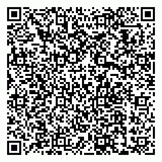 vCard 79033780389