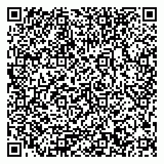 vCard 79033780390
