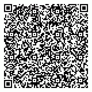 vCard 79033780392