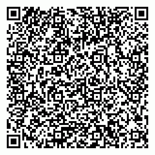 vCard 79033780393