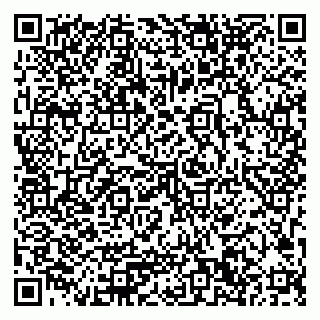vCard 79033780394