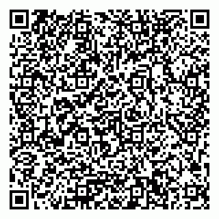 vCard 79033780395