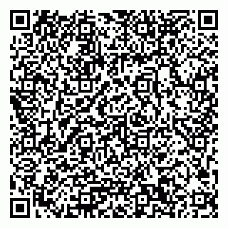 vCard 79033780396