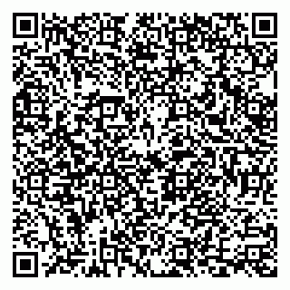 vCard 79033780397