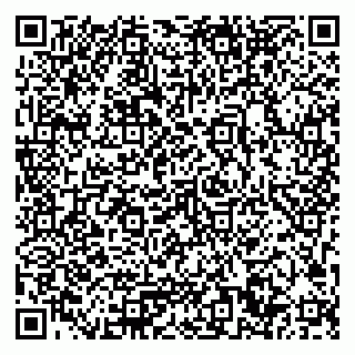 vCard 79033780398