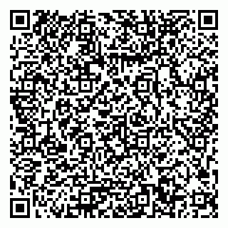 vCard 79033780399