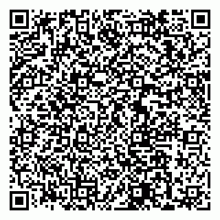 vCard 79033870013