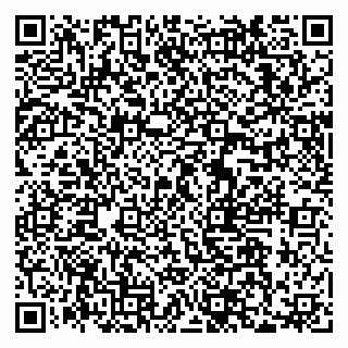vCard 79033870020
