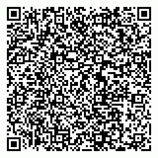 vCard 79033870026