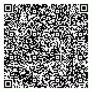 vCard 79033870039