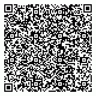 vCard 79033870041