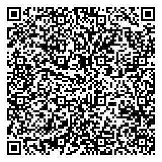 vCard 79033870054
