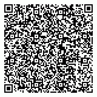 vCard 79033870138