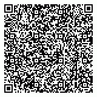 vCard 79033870173