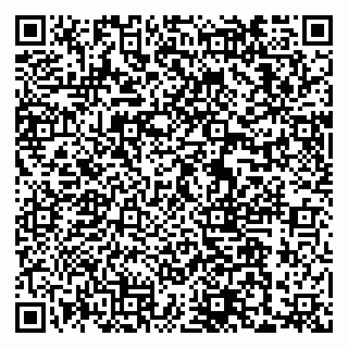 vCard 79033870217
