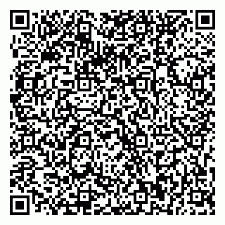 vCard 79033870294