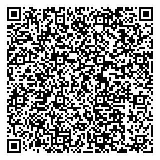 vCard 79033870380