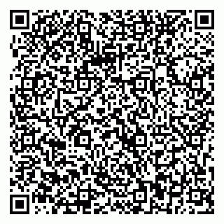 vCard 79033870399